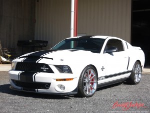 07ShelbySuperSnakeCoupe-aPB15-1024x768