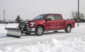 15F150SnowPlow_9195