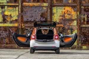 2016 smart fortwo (32)